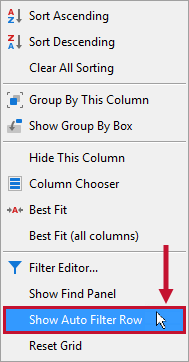 Show Auto Filter Row context menu