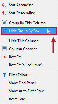 Hide Group By Box context menu option