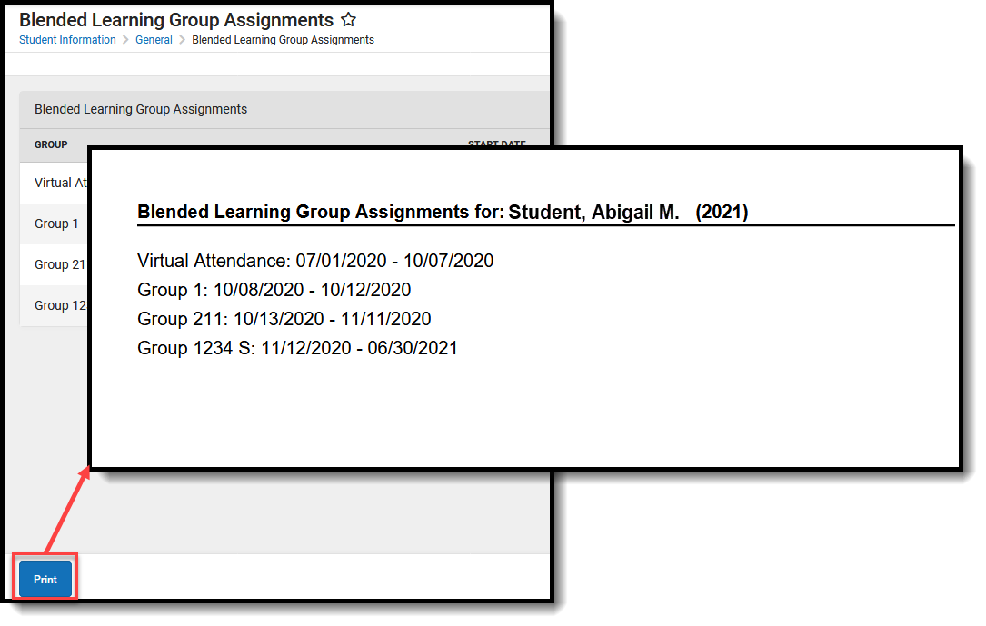 Screenshot of the printed view of the group assignments. 