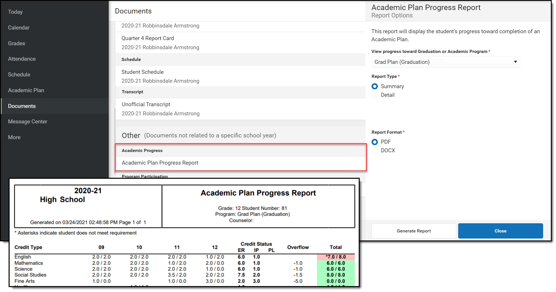 Screenshot of printing a progress report.