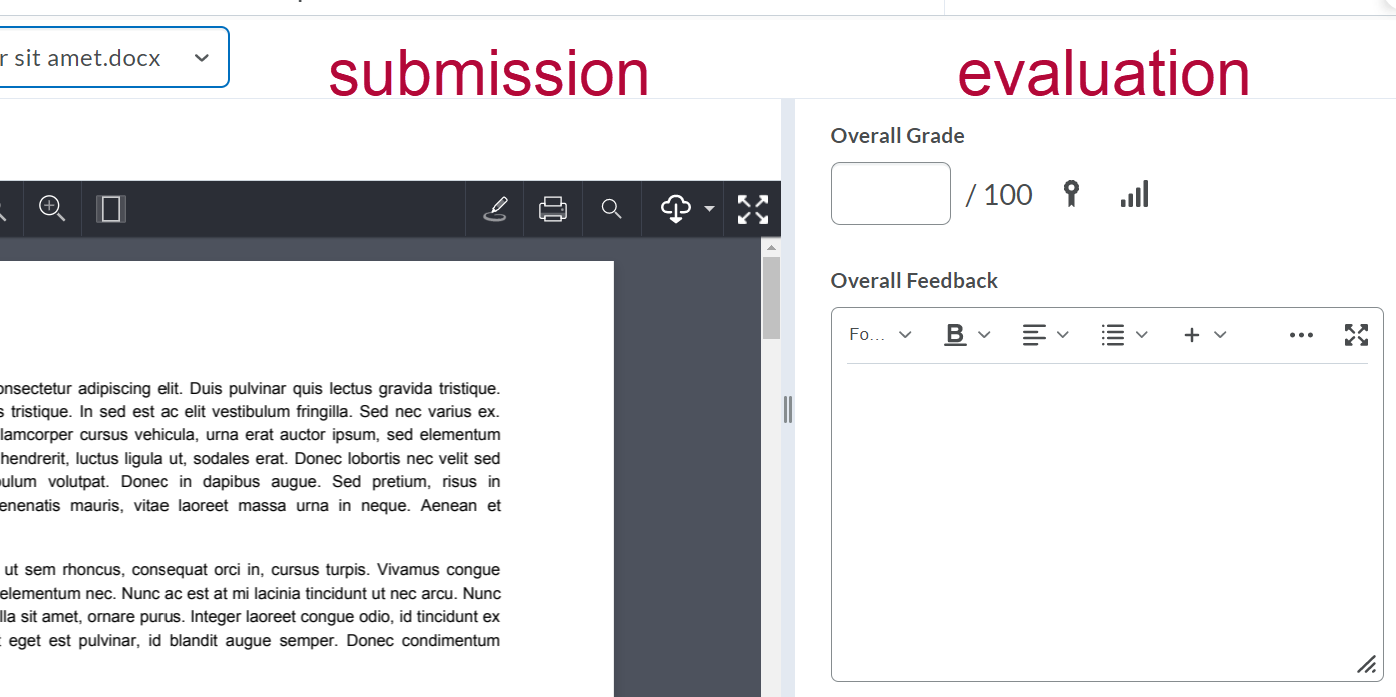 Shows submission and evaluation panes