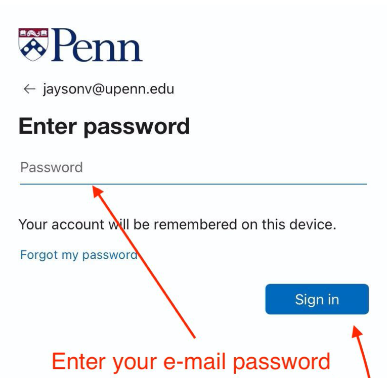 Enter O365 password and click Sign In button.
