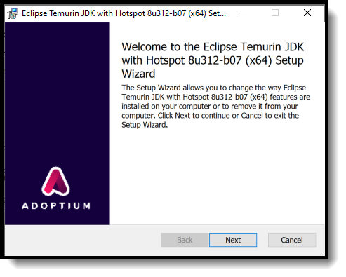 Screenshot of the Setup Wizard when installing JDK for windows. 