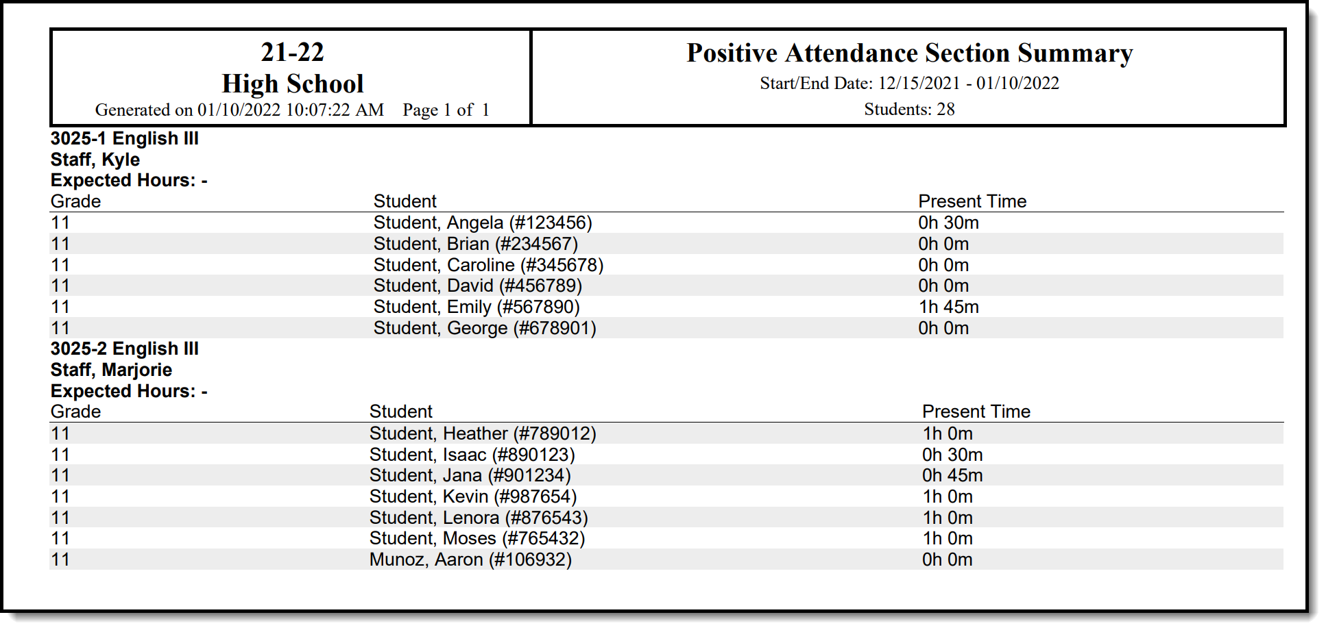 Screenshot of the Positive Attendance Summary Report Section Summary output.