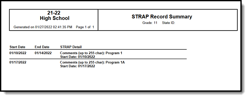 Screenshot of an example of the STRAP printed summary.