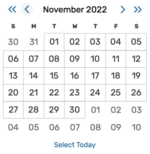 Image: Clicking on the date will reveal the date picker.