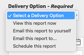 Report Delivery options