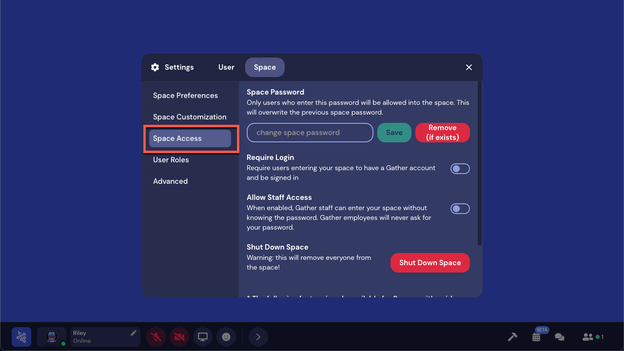 The Space Settings modal is open, and Space Access is active and outlined in red. The first option that displays is Space Password, with a field to enter a password. A Save and Remove button are next to the password field.