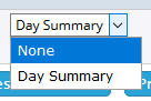 Day summary dropdown options