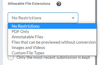Shows allowable file extension restrictions.