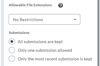 Shows Allowable File  Extensions and Submissions restriction options.