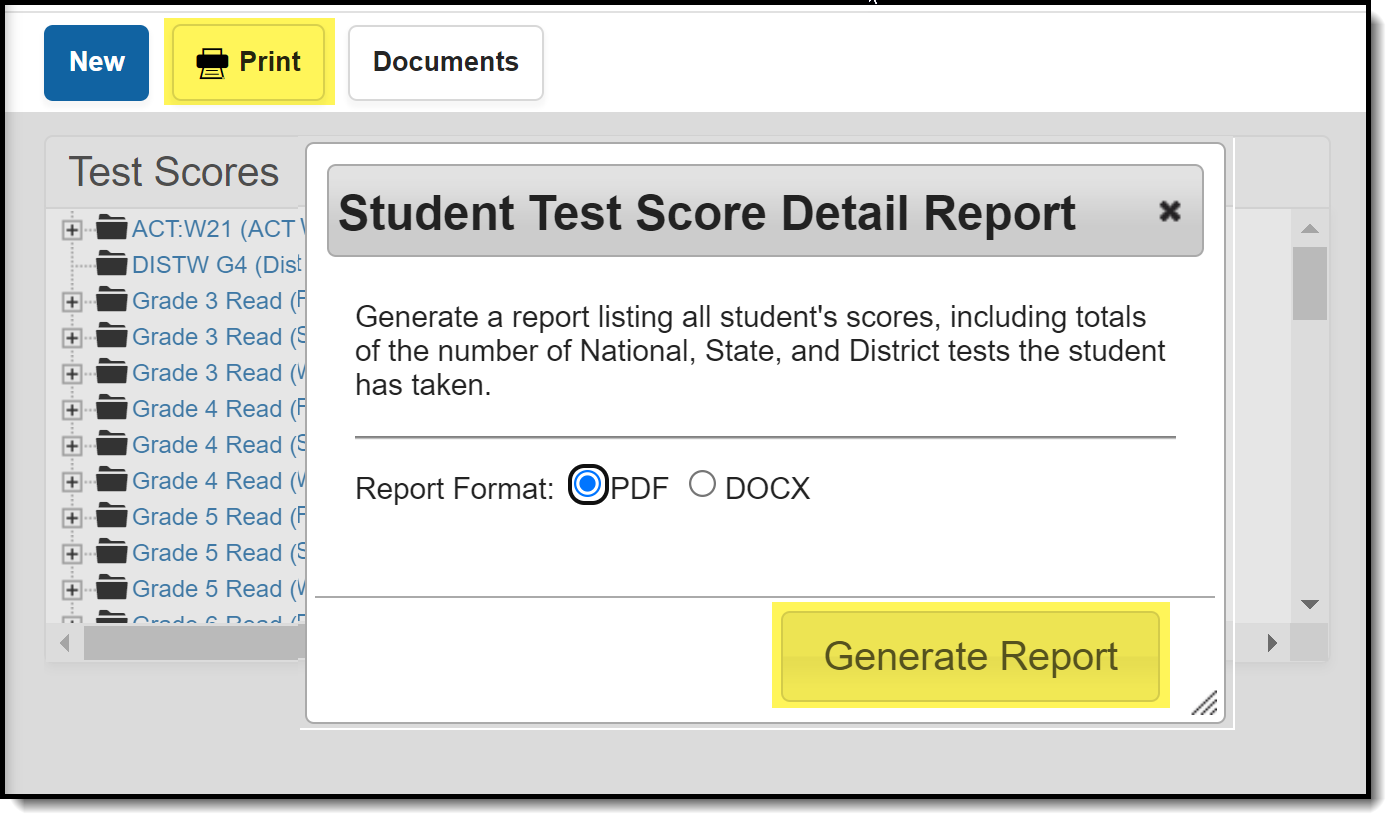 Screenshot of the Student Test Detail Report print option popup..
