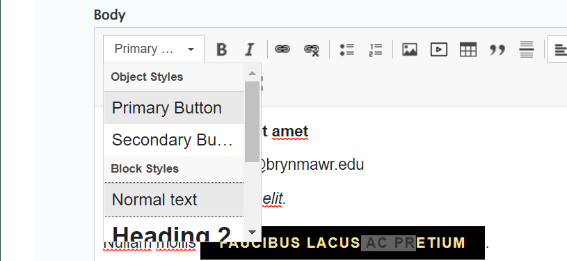 screenshot wysisyg format options for buttons