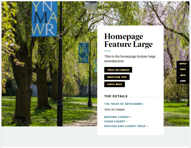 screenshot homepage feature large display 