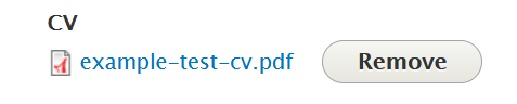 screenshot cv file name with remove button from directory edit screen