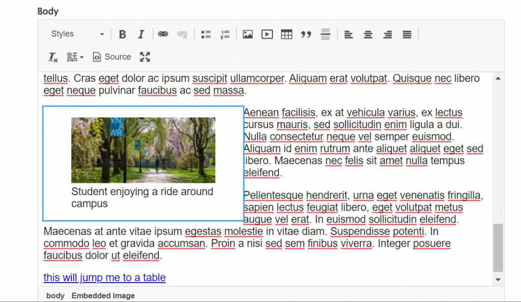 screenshot WYSIWYG image embed edit with left alignment
