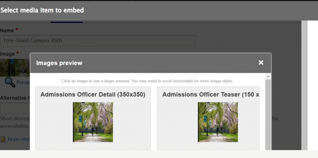 screenshot focal point image preview admissions officer