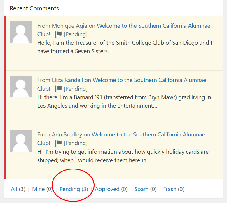 wordpress dashboard comment view pane with pending comments highlighted