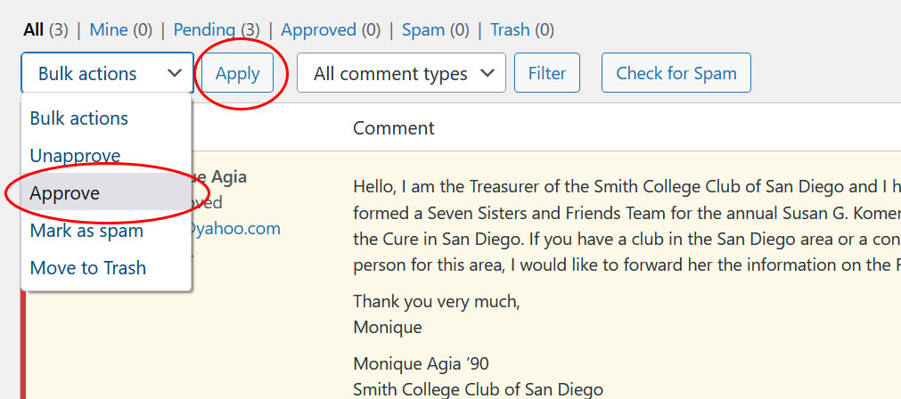 wordpress comment list view with bulk approve actions highlighted