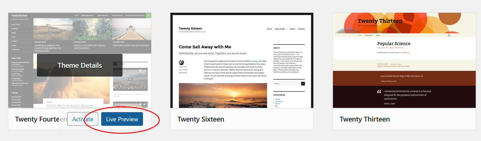 wordpress theme live preview button highlighted