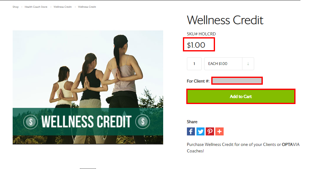 Wellness Credits - the quantity should be equal to the dollar amount you are looking to give to the recipient and the Client ID number must be entered to ensure they go to the correct individual.