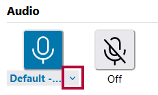 Identifies the arrow at the bottom right of Default Audio box.