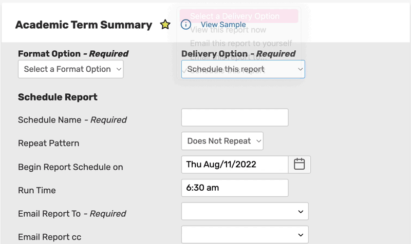 The Delivery Option dropdown provides choices for where to send or save the report