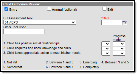 Screenshot of the Child Outcomes Review editor of the Outcomes Measures Plan.
