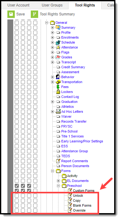 Screenshot of additional sub-rights (Unlock, Copy, Blank Forms, and Override) below the Custom Form sub-right.