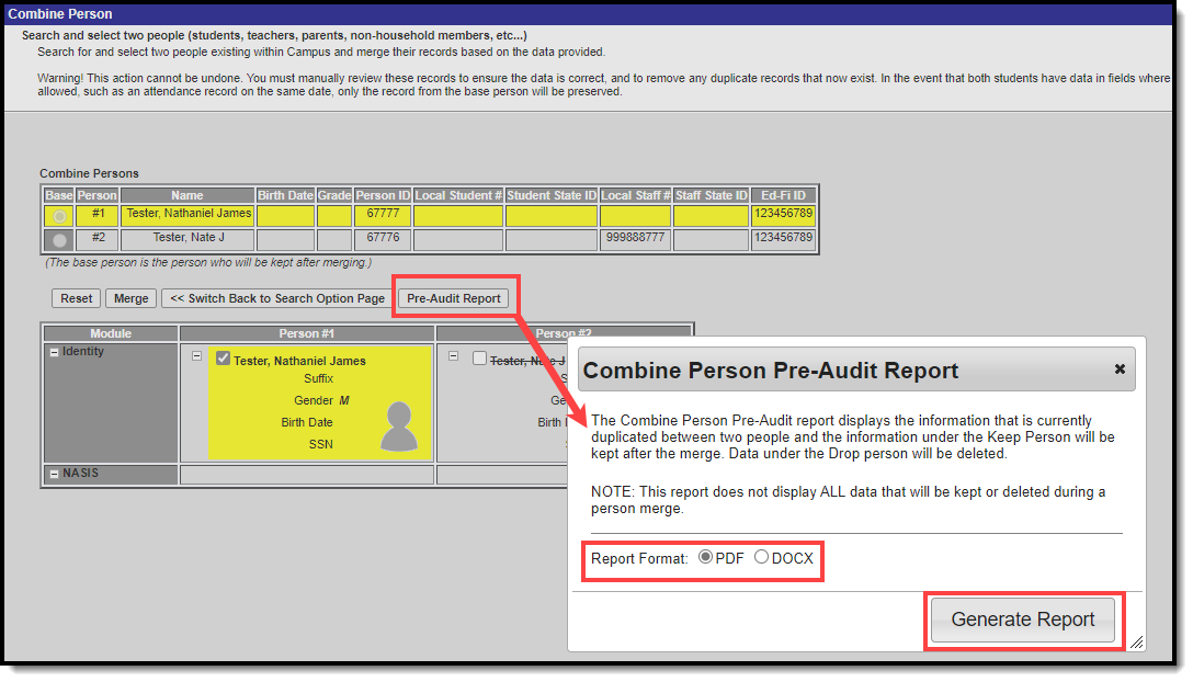 screenshot of selecting the pre-audit report button