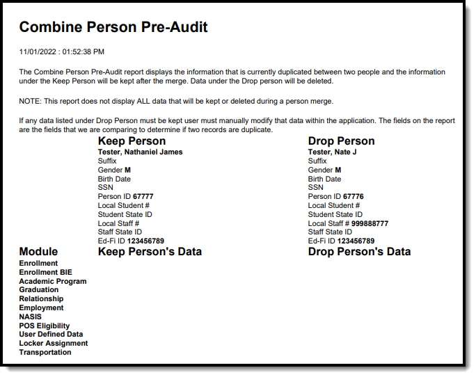 screenshot of the a generated combine person pre-audit report