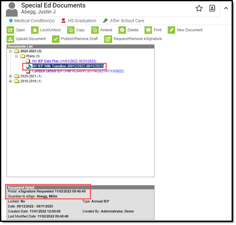 Screenshot of the document detail checkmark icon and document detail eSignature information.
