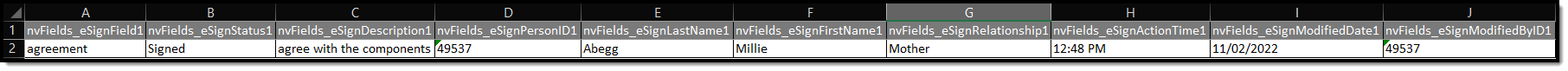 Screenshot of the Ad hoc eSignature Excel format example.