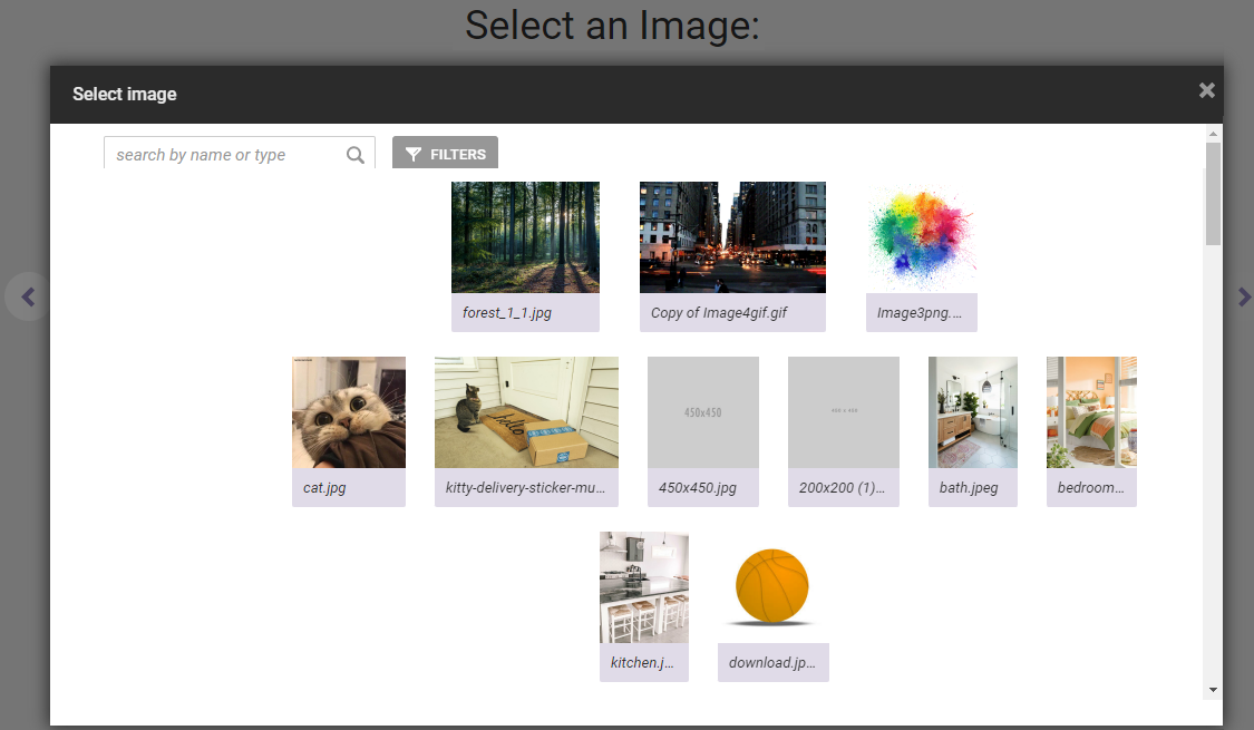 The 'Select Image' modal