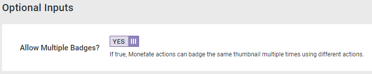 The 'Allow Multiple Badges?' toggle