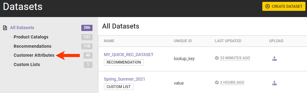 Callout of the Customer Attributes option in the left-hand category listing of the All Datasets list page