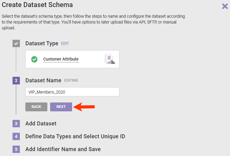 Step 2 of the 'Create Dataset Schema' wizard, with a name for the dataset in the field and a callout of the NEXT button