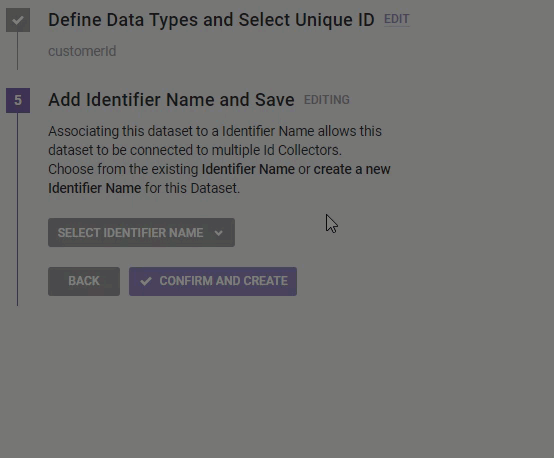 Animated demonstration of a user inputting a new 'Identifier Name' into the appropriate field and then clicking SAVE
