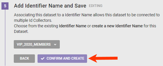 Callout of the 'CONFIRM AND CREATE' button in the 'Create Dataset Schema' wizard