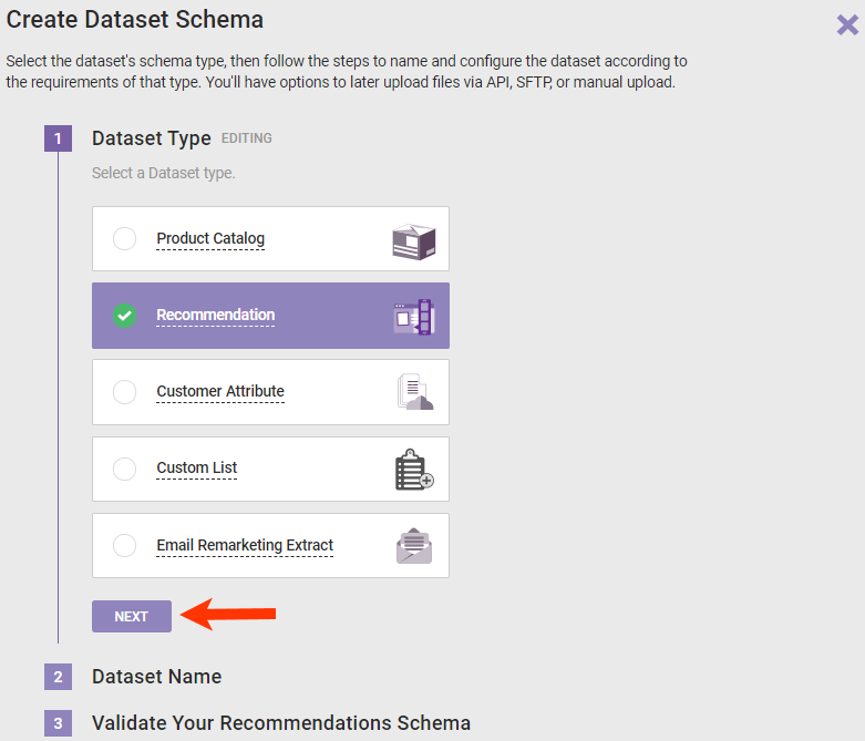 Step 1 of the Create Dataset Schema, with Recommendation selected for the type and a callout of the NEXT button