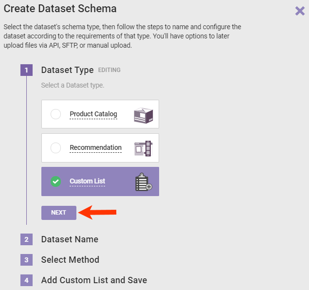 Step 1 of the Create Dataset Schema wizard, with 'Custom List' selected and a callout of the NEXT button