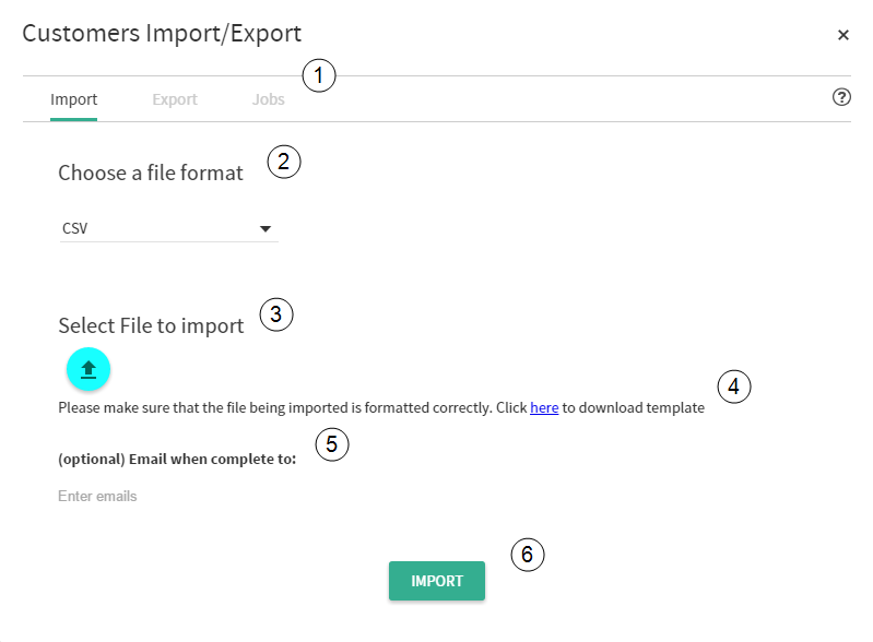 Import configurations for an example Customers import