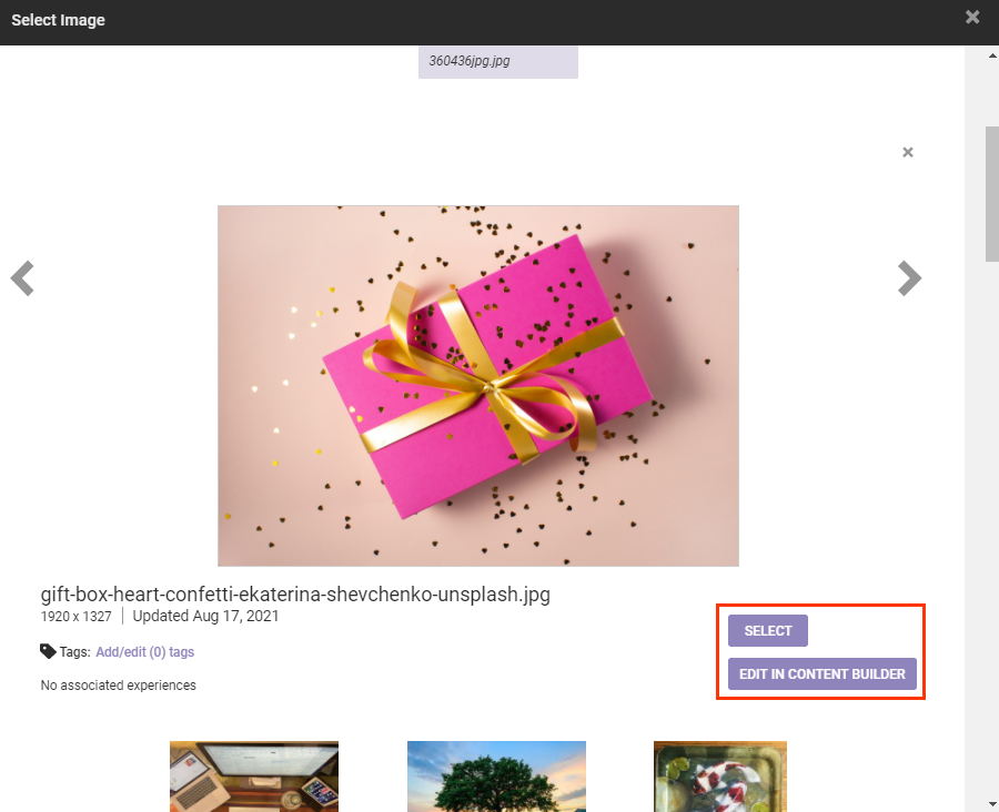 Example of a selected image's details in Content Manager