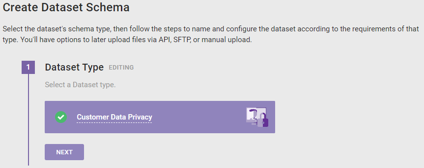 The 'Create Dataset Schema' wizard, with the 'Customer Data Privacy' option selected