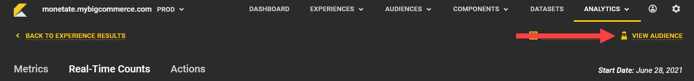 Callout of the 'VIEW AUDIENCE' button on the Experience Results page