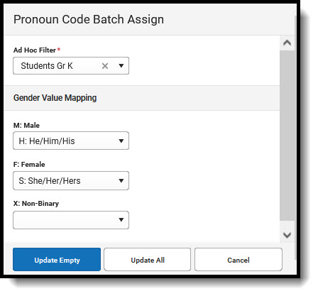Screenshot of the Pronoun Code Batch Assign tool.