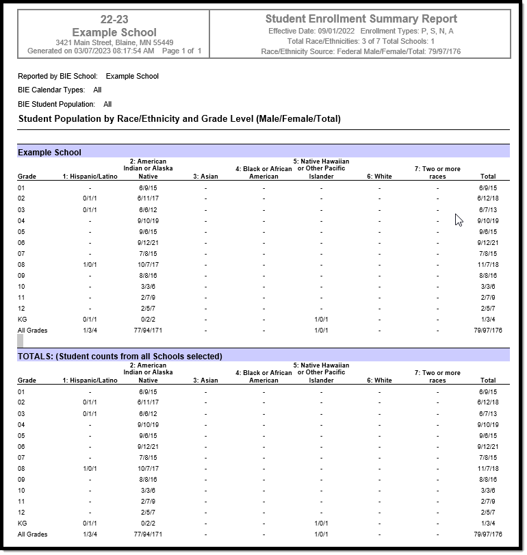 Screenshot of an example BIE Enrollment Summary in PDF format.