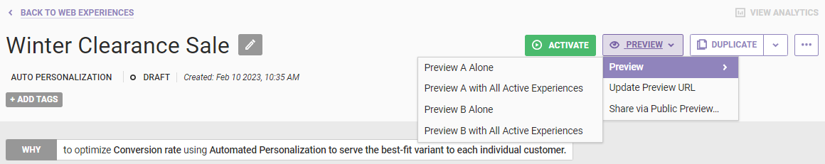 View of the expanded preview options accessible from the PREVIEW button