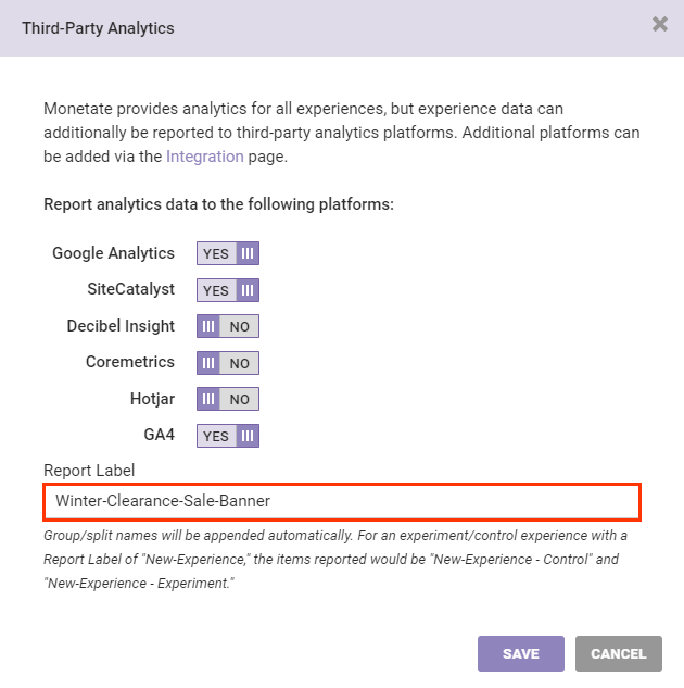 Callout of the Report Label field on the Third-Party Analytics modal