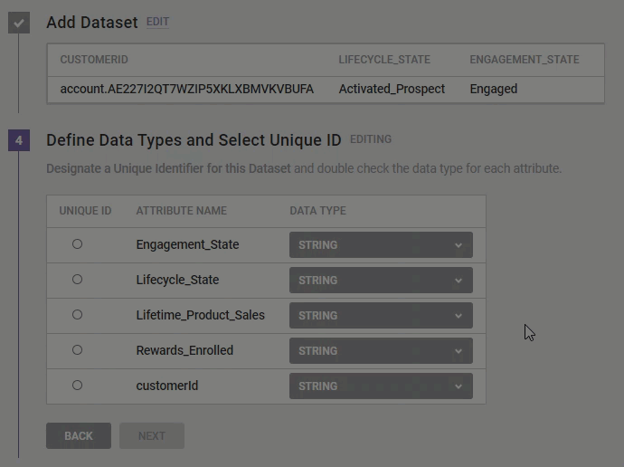 Animated demonstration of a user ensuring that the data type is correct for each attribute, then selecting an attribute to be the dataset's 'Unique ID,' and then clicking the NEXT button